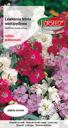 Lewkonia wielopędowa - Matthiola incana annua mieszanka 1g