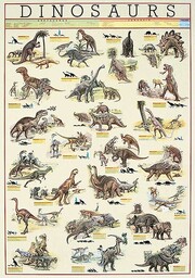 Empire Educational 536525 plakat dinozaury drukowane wymiary 68