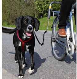 TRIXIE - Smycz do roweru dla psa