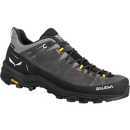 Salewa Alp Trainer 2 GTX męskie buty trekkingowe,