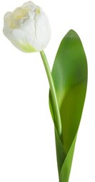 TULIPAN sztuczny kwiat do salonu 37 cm biały