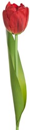 TULIPAN Sztuczny kwiat do salonu 37 cm czerwony