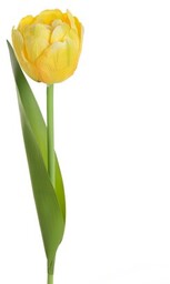 TULIPAN Sztuczny kwiat do salonu 37 cm żółty