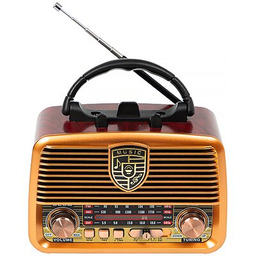 BLOW Radio RA10 Pomarańczowe, Przenośne, Tuner FM/AM/SW, Bluetooth,