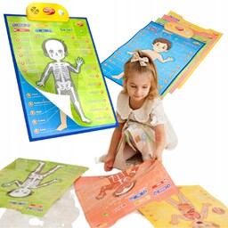 Dumel Plakaty edukacyjne interaktywne Mały Lekarz nauka anatomii