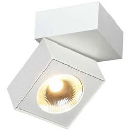 Oprawa sufitowa biała techniczna ARTU C0106 - MaxLight