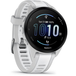 Smartwatch GARMIN Forerunner 165 AMOLED Mglisto Szary 010-02863-21