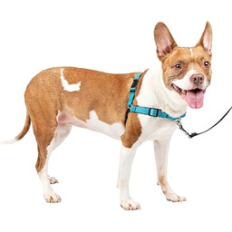 PetSafe Uprząż Easy Walk Deluxe, bez ciągnięcia, wyściełana