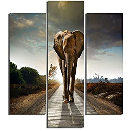 Homemania obraz słonia-3 sztuki-zwierzęta w salonie, sypialnia-wielokolorowe, 57