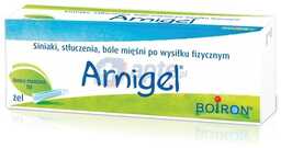 Arnigel żel 45g