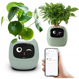 Doniczka Ivy Planter Inteligentna osłonka Smart donica porady