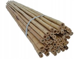 Tyczki bambusowe 180 cm 30/35 mm /10 szt/