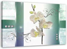 Obraz na płótnie, Biała orchidea kwiat natura 90x60