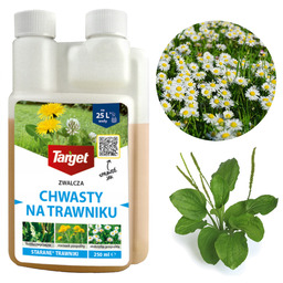 Target Starane 250 ML Oprysk Środek Na Chwasty