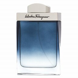 Salvatore Ferragamo Subtil Pour Homme woda toaletowa
