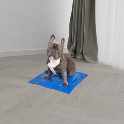 Italian Bed Linen Mata chłodząca dla psów