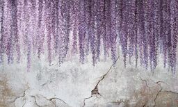 Tapeta Wonderwall Wisteria 35 0745 07