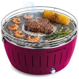 LOTUSGRILL Grill ogrodowy węglowy XL G-LI-435P XL Okrągły,