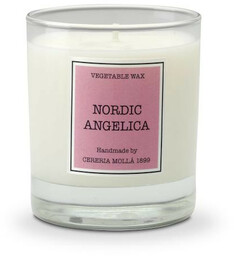 Cereria Molla Świeca zapachowa 230 g Nordic Angelica