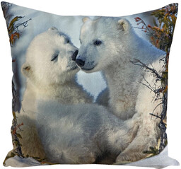 Poszewka welurowa niedźwiedzie polarne JCL-707
