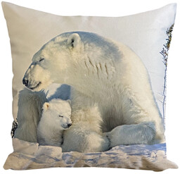 Poszewka welurowa niedźwiedzie polarne JCL-708