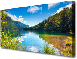 Obraz Canvas Góry Las Natura Jezioro