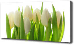 Foto obraz canvas Tulipany