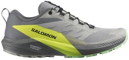 Buty męskie Salomon Sense Ride 5 do biegania