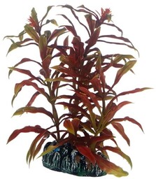 HOBBY Sztuczna roślina akwariowa Nesaea, 13 cm (51570)