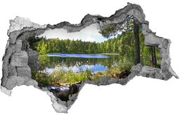 naklejka fototapeta 3D na ścianę Leśna panorama