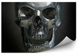 Metaliczna czaszka Fototapeta Metaliczna czaszka 250x250cm Fizelina
