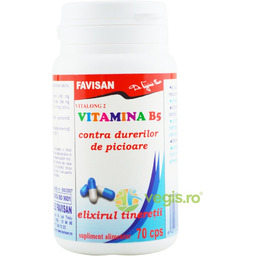 Vitalong 2 z witaminą B5 70 cps