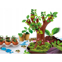 Zestaw Lisciani Nauka w domu Botanika