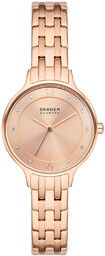 Skagen SKW3128