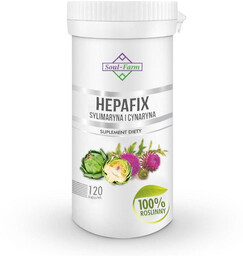 Hepafix sylimaryna + cynaryna 120 kapsułek - Soul