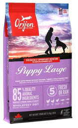 Orijen Puppy Large 11.4 kg - sucha karma