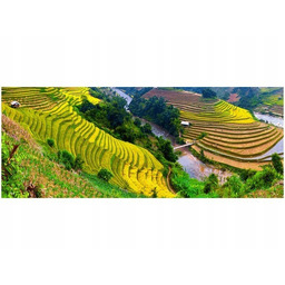 100x40cm Tarasowe pola ryżowe obraz dekoracja ścienna podobrazie
