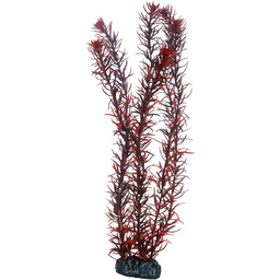 Hobby 51583 Eusteralis, 39 cm