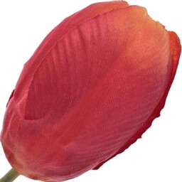 TULIPAN GŁÓWKA WYROBOWA 7 CM