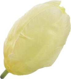 TULIPAN GŁÓWKA WYROBOWA 7 CM
