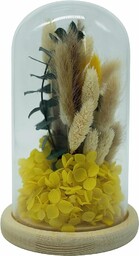 HEITMANN DECO Suszone kwiaty w szklanym dzwonku, naturalny/żółty/zielony,