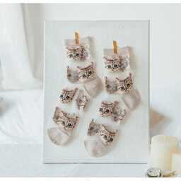 Skarpetki transparentne w koty - Pomarańczowy / Uniwersalny