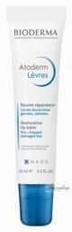 BIODERMA - Atoderm Levres - Restorative Lip Balm