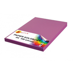 Papier kolorowy A4 120g biskupi 100 arkuszy 307