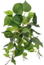 BLUSZCZ W DONICZCE