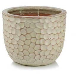 Donica mrozoodporna kremowa 25 cm