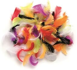 Glorex 6 3821 029 - pióra dekoracyjne, różne