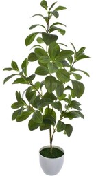 DRZEWKO POMARAŃCZY W DONICZCE 75 CM