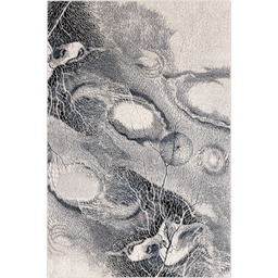 Dywan wełniany nowoczesny Agnella Isfahan Bellona jasny szary