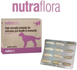NUTRAVET Nutraflora For Dogs & Cats 12kaps -